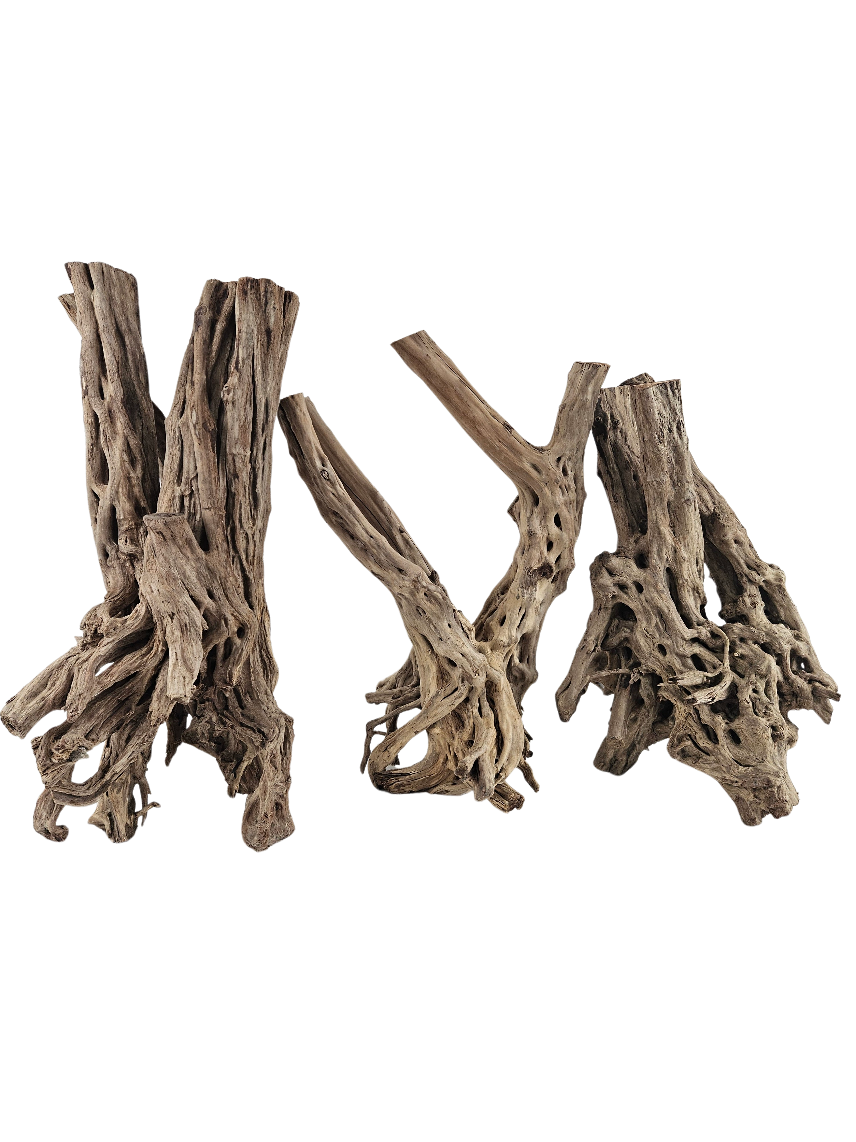 Spiderwood Tree Stump for Aquarium by Lifegard Aquatics