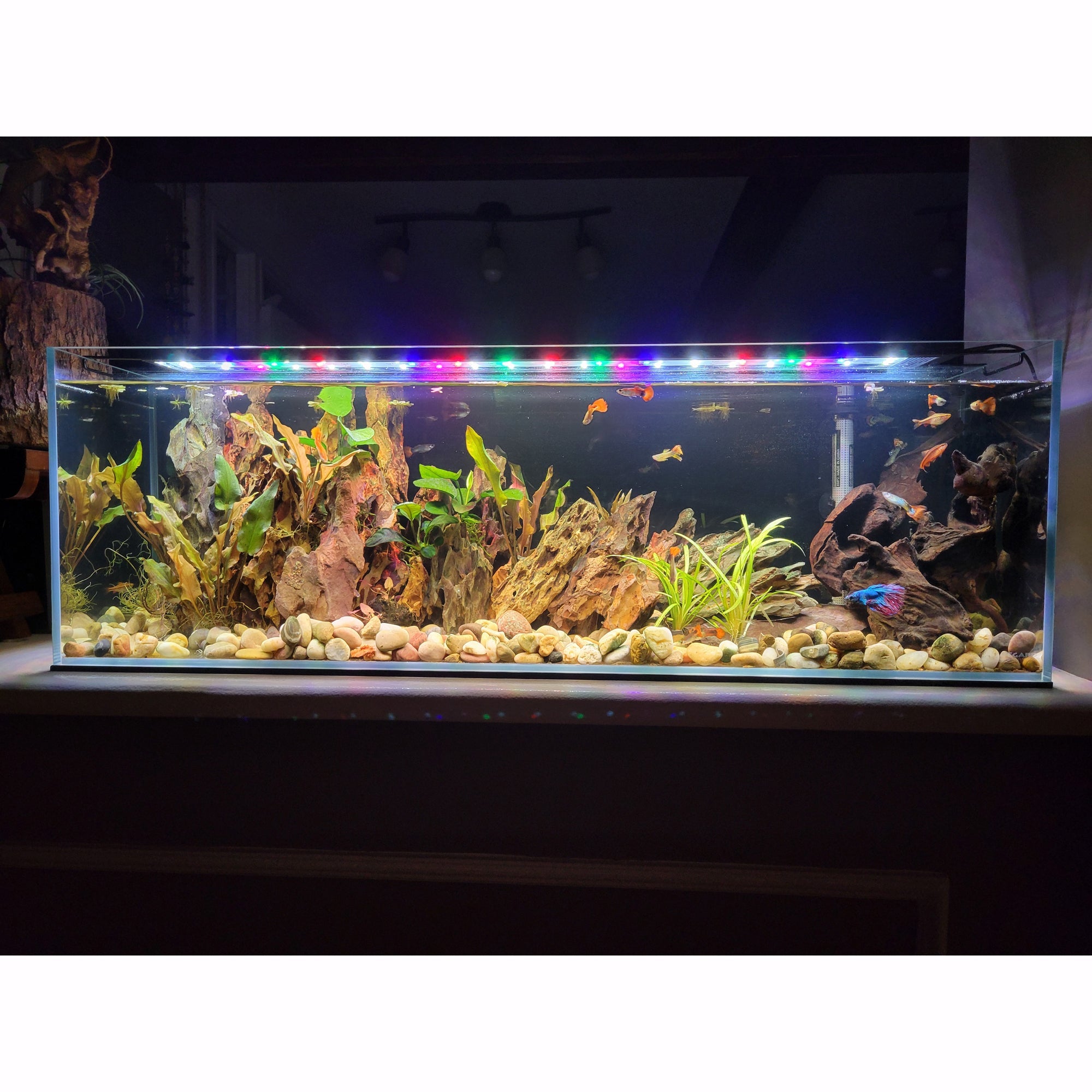 Full Spectrum LED Plant & Coral Aquarium Light by Lifegard Aquatics