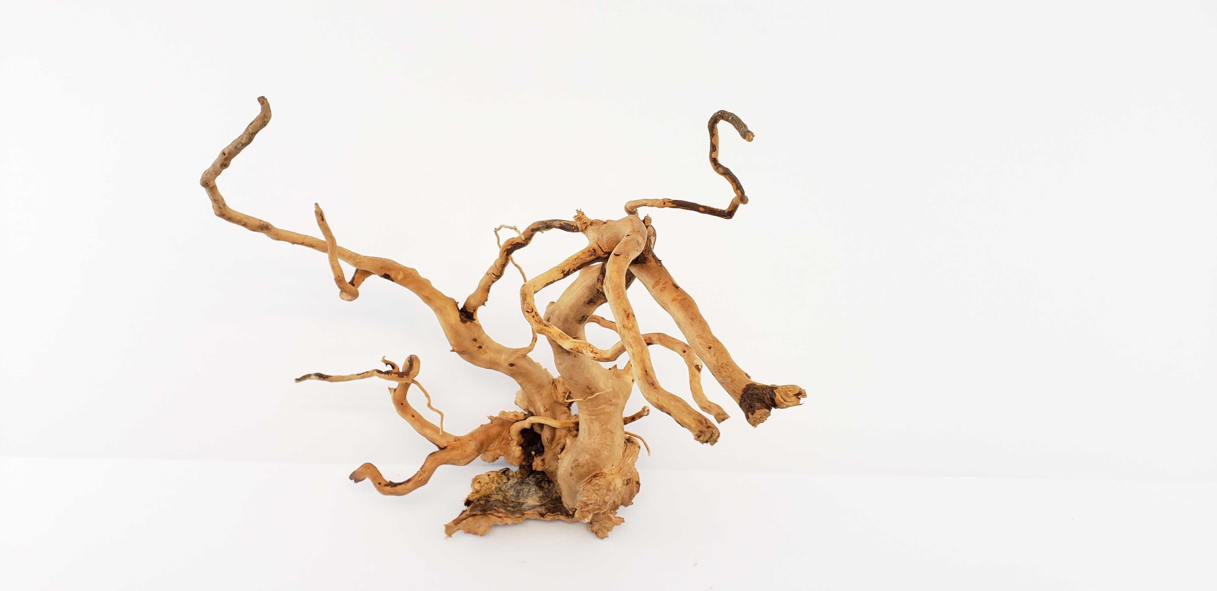 Spider Wood for Aquarium Approximate Size 6"-12" by Lifegard Aquatics