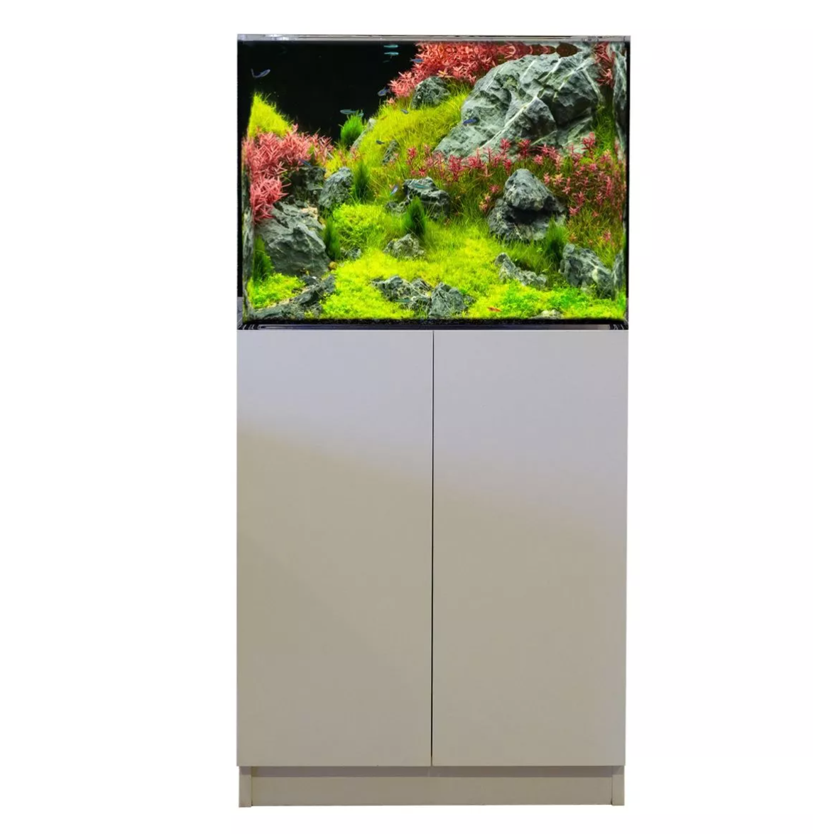 37.5 Gallon Acrylic Freshwater Aquarium by LiquidArt