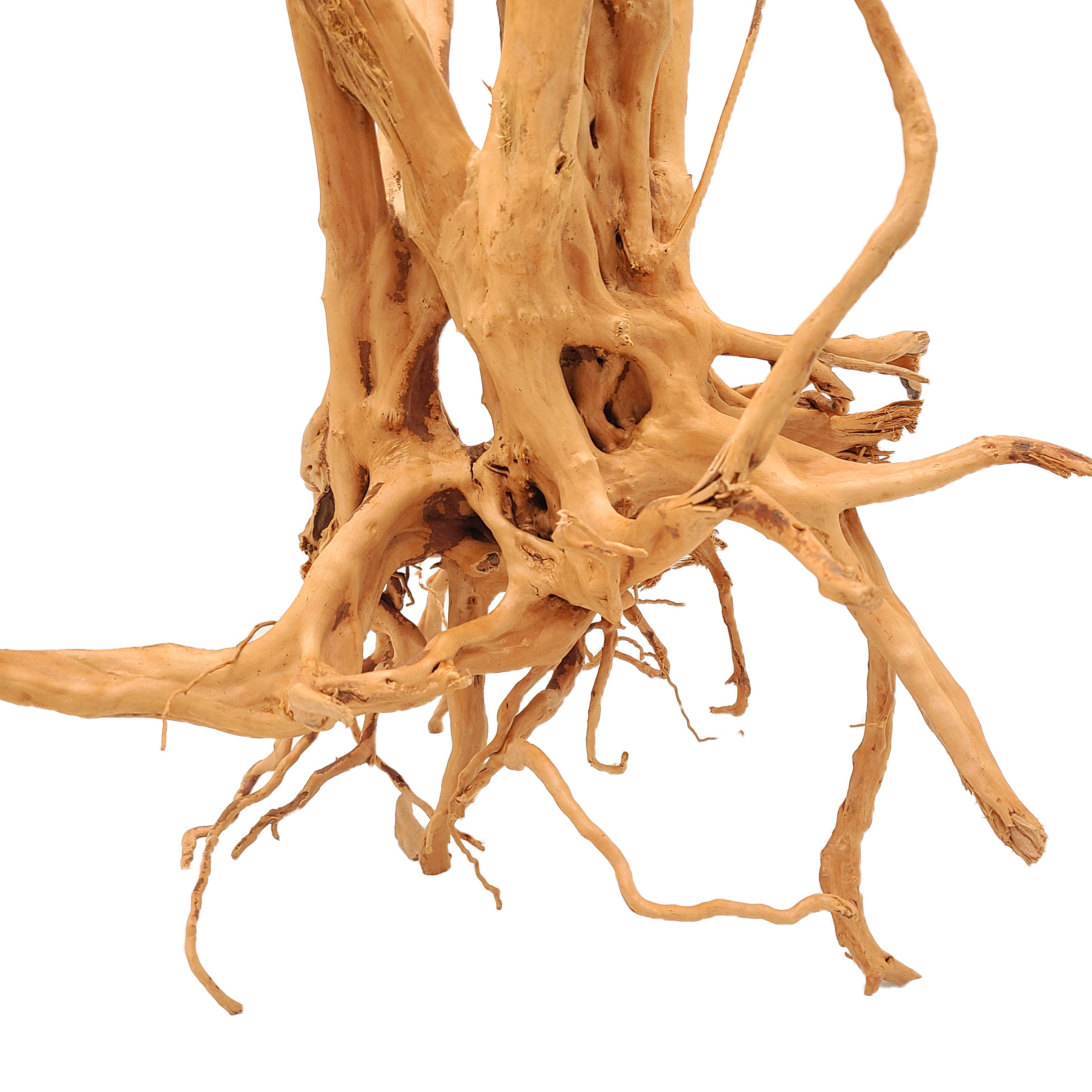 Spiderwood Tree Stump for Aquarium by Lifegard Aquatics