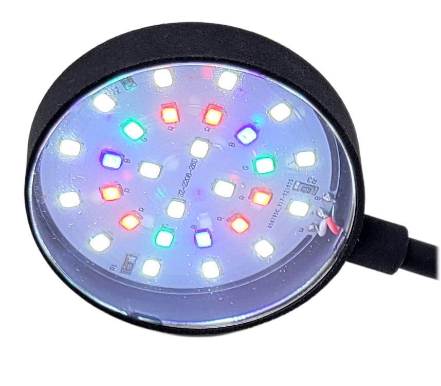 2.5" Clip-On Full Spectrum LED Aquarium Plant Light by Lifegard Aquatics close up view of the LED light bulbs