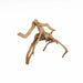 22 Gallon Ultra Clear Aquarium Bundle with Spider Wood for Aquarium Approximate Size 6"-12" by Lifegard Aquatics