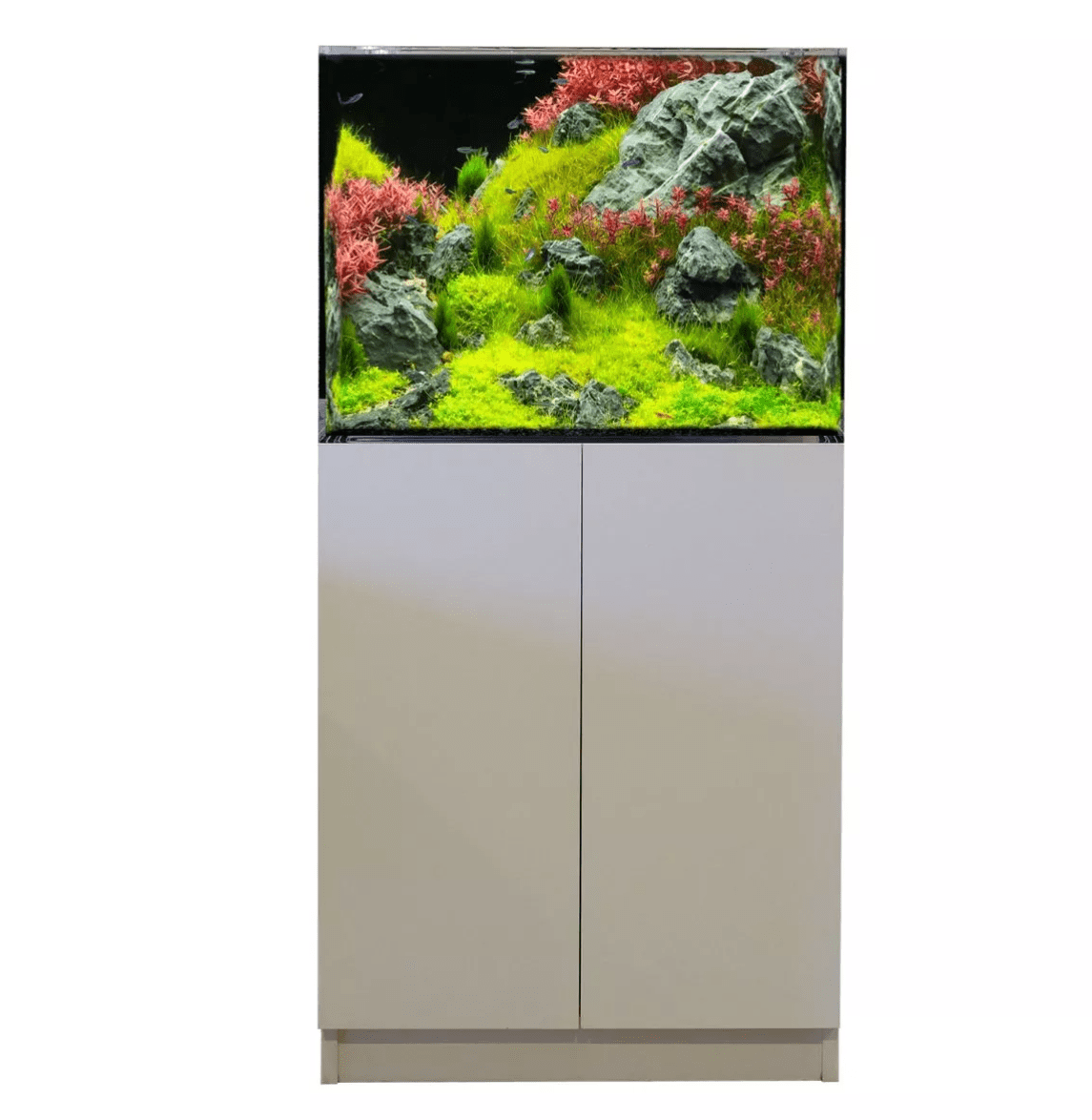 37.5 Gallon Acrylic Freshwater Aquarium by LiquidArt frontal view