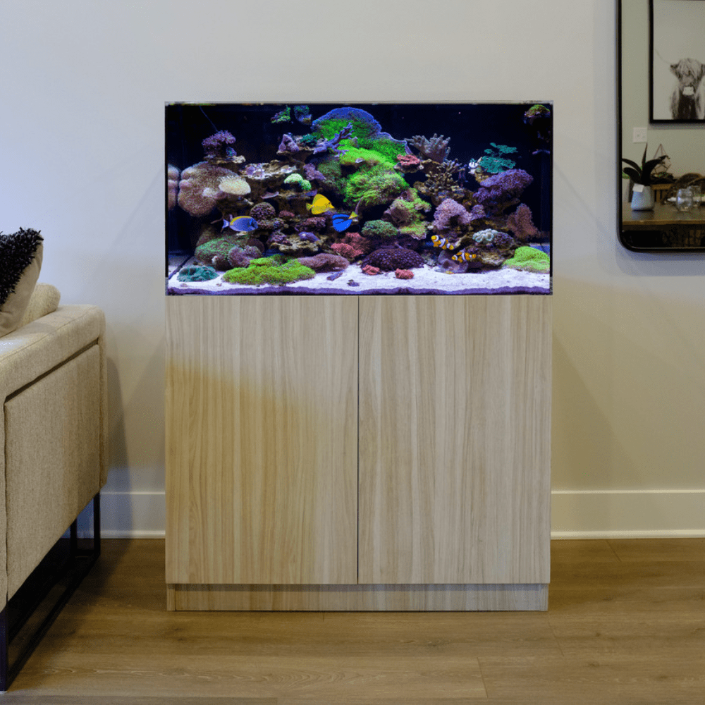 56 Gallon AIO Acrylic Aquarium by LiquidArt frontal view in a room saltwater with reef and fish