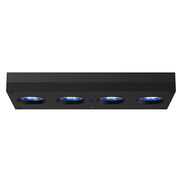AI Hydra 64 HD LED Module - Black Body bottom side view