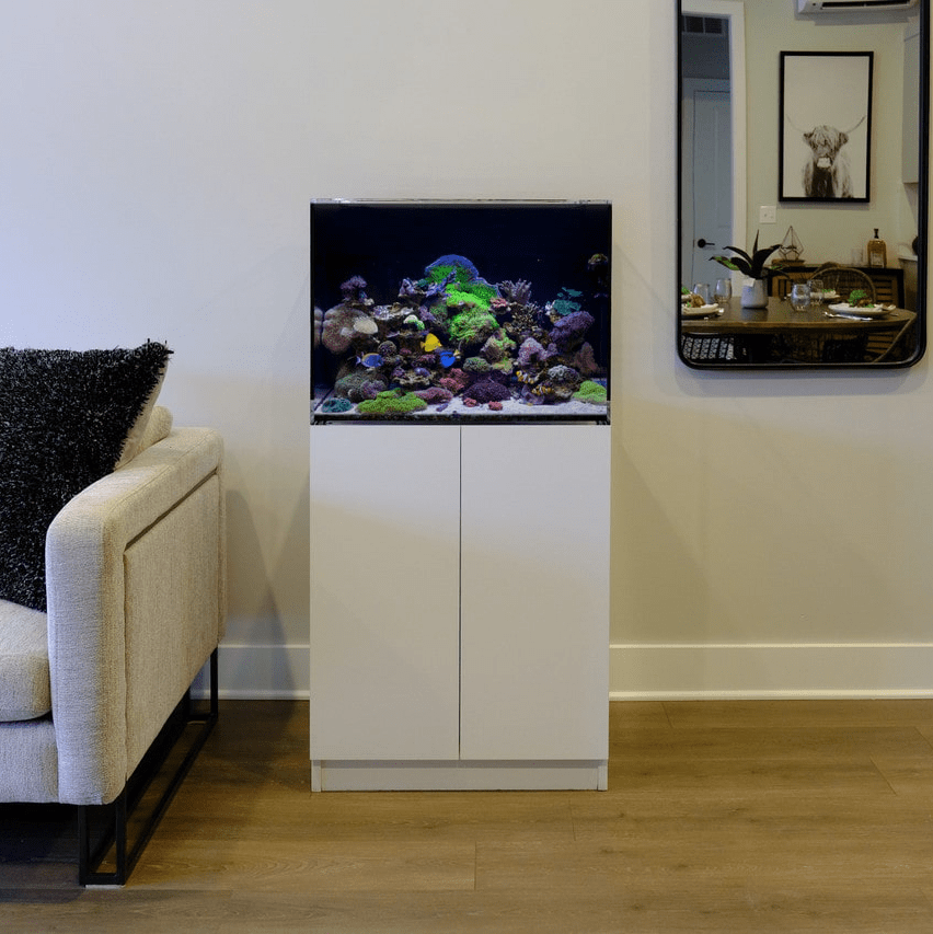 37.5 Gallon AIO Acrylic Aquarium by LiquidArt