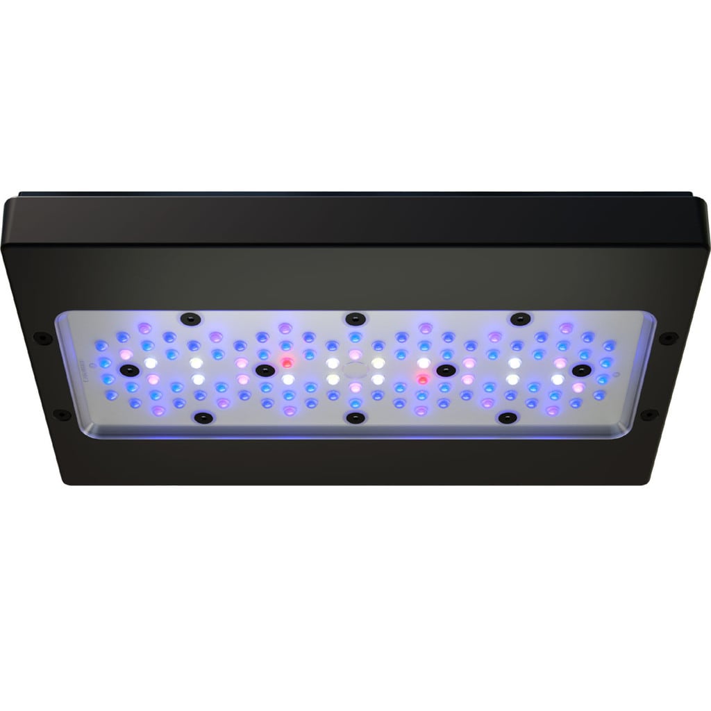 Radion G6 XR30 Blue LED Light by EcoTech Marine