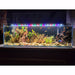 Full Spectrum LED Plant & Coral Aquarium Light by Lifegard Aquatics front tank view