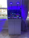 JBJ 25 Gallon Rimless Saltwater Aquarium with Stand reef in home next to a window