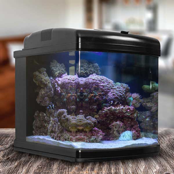 JBJ 28 Gallon Nano Cube Wifi Saltwater Tank Kit On countertop