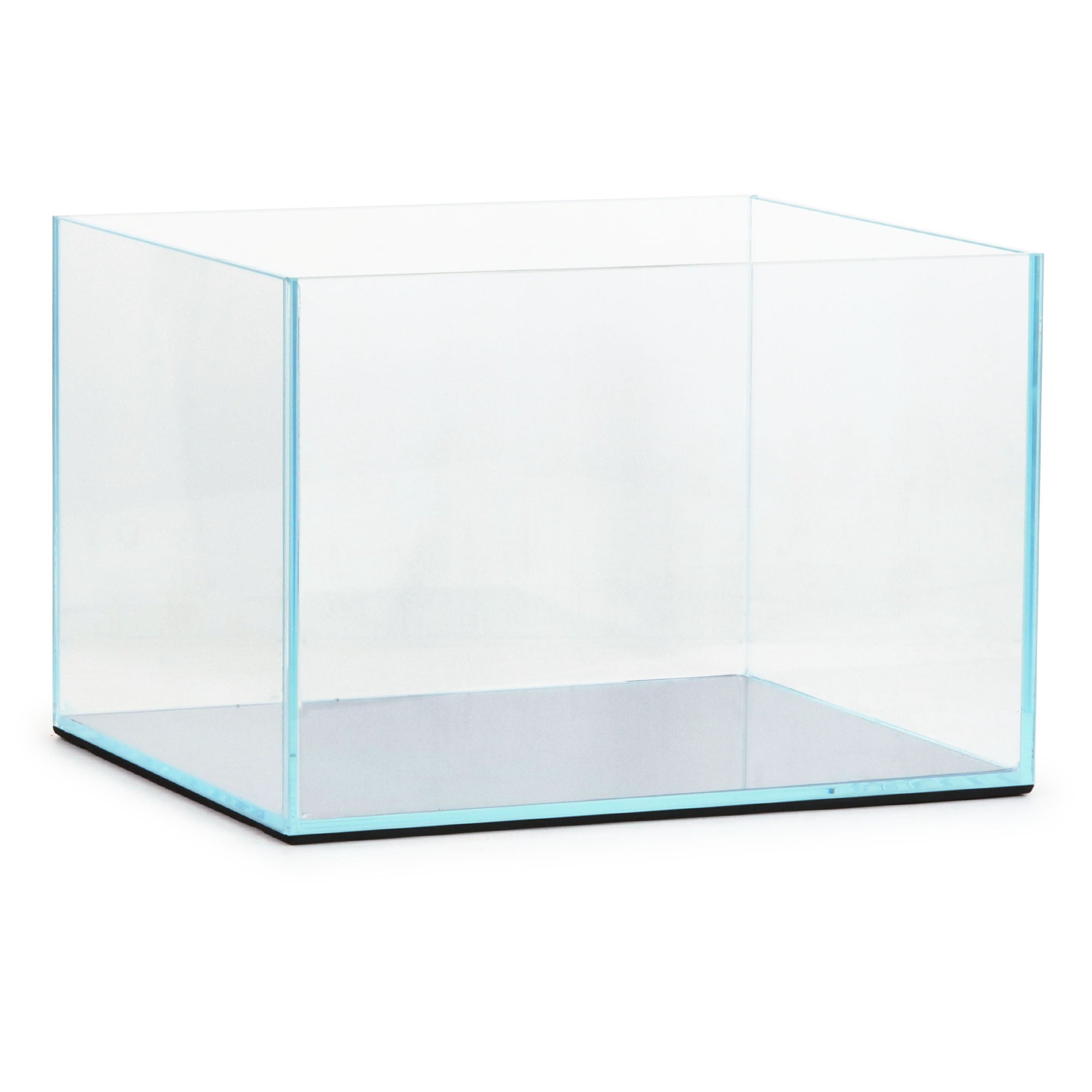 JBJ 4 Gallon Rimless Aquarium Low Iron front view