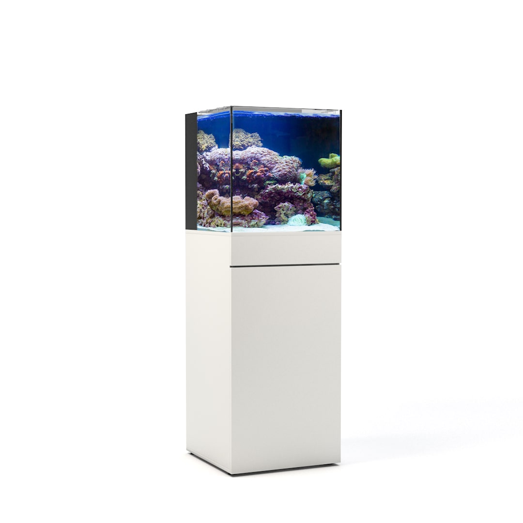 JBJ 25 gallon aquarium white front view