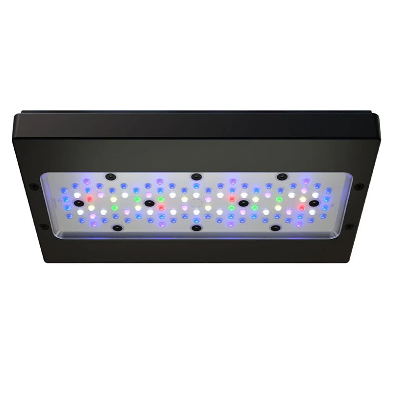 ProStar 200 V2 Aquarium Bundle with Radion G6 XR30 Pro LED Light by EcoTech Marine