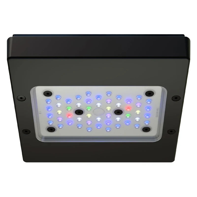 ProStar 90 V2 Aquarium Bundle with Radion G6 XR15 Pro LED Light EcoTech Marine
