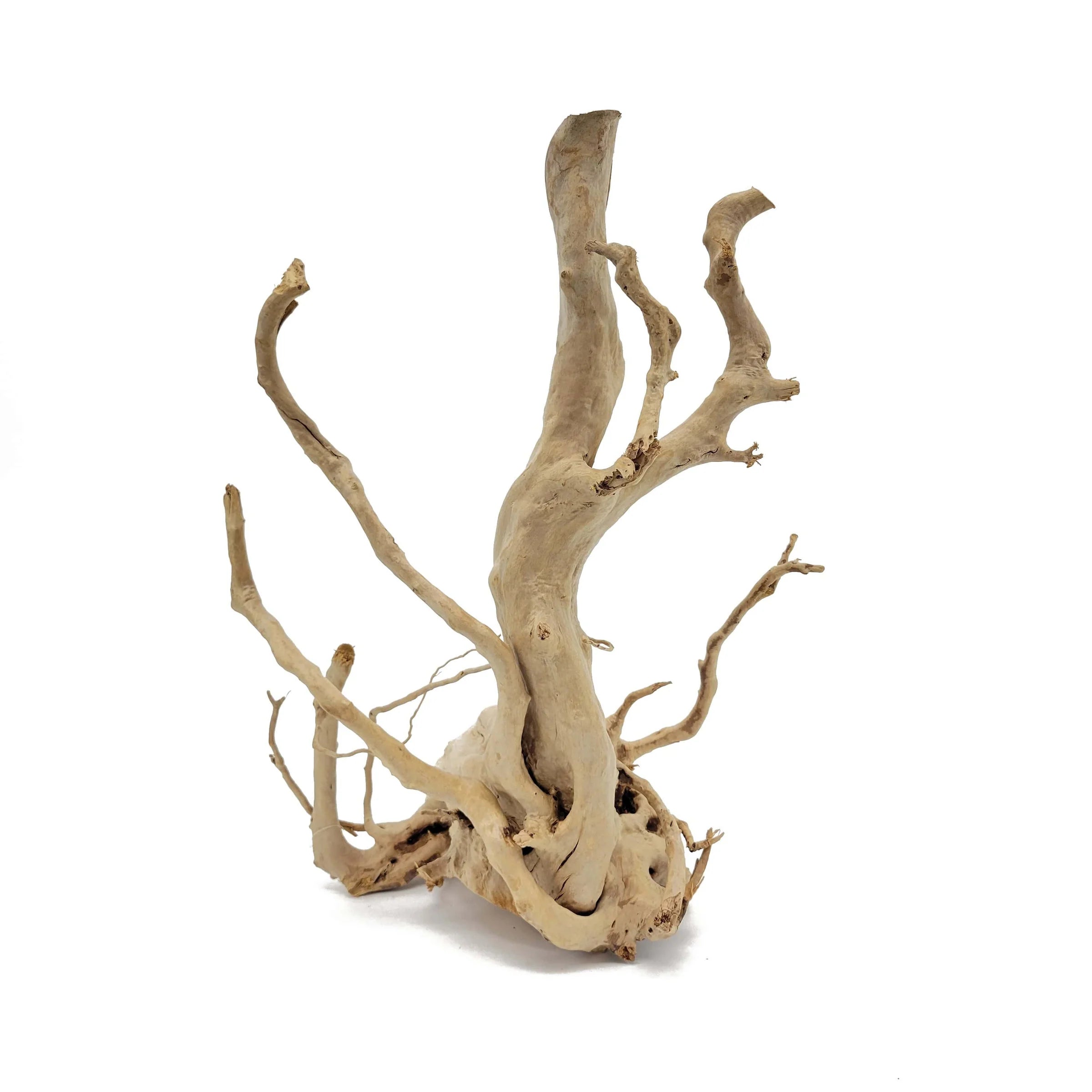ProStar AIO 35 Aquarium Bundle with Spider Wood for Aquarium Approximate Size 12"-23" by Lifegard Aquatics