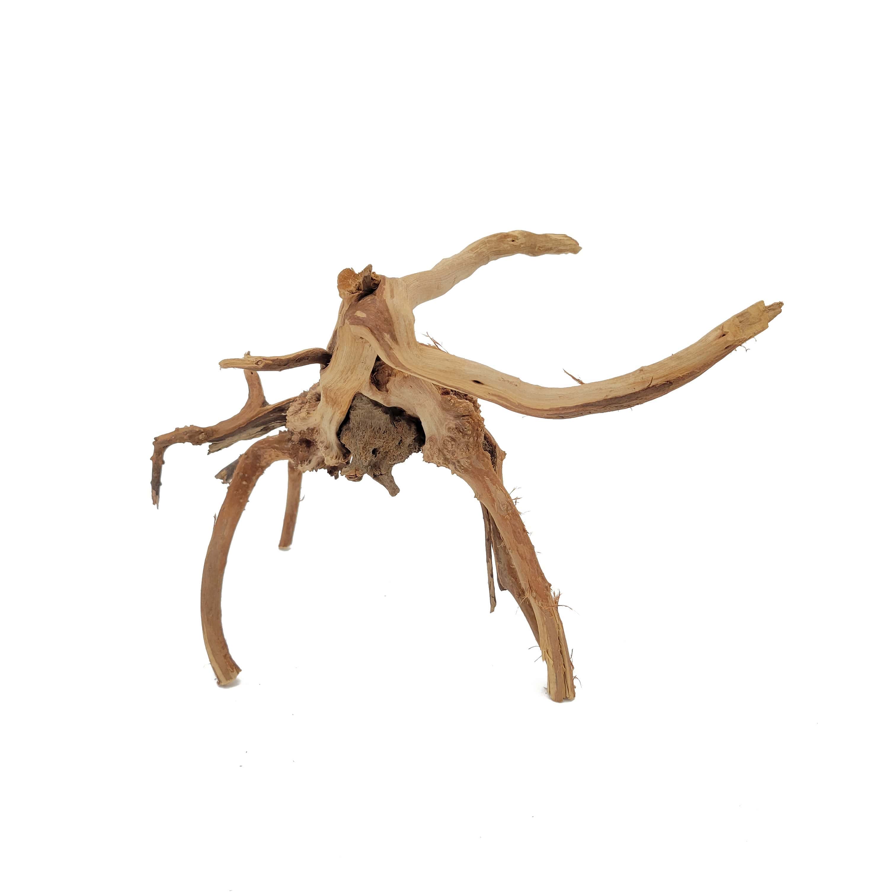 Spider Wood for Aquarium Approximate Size 6"-12" by Lifegard Aquatics side view small