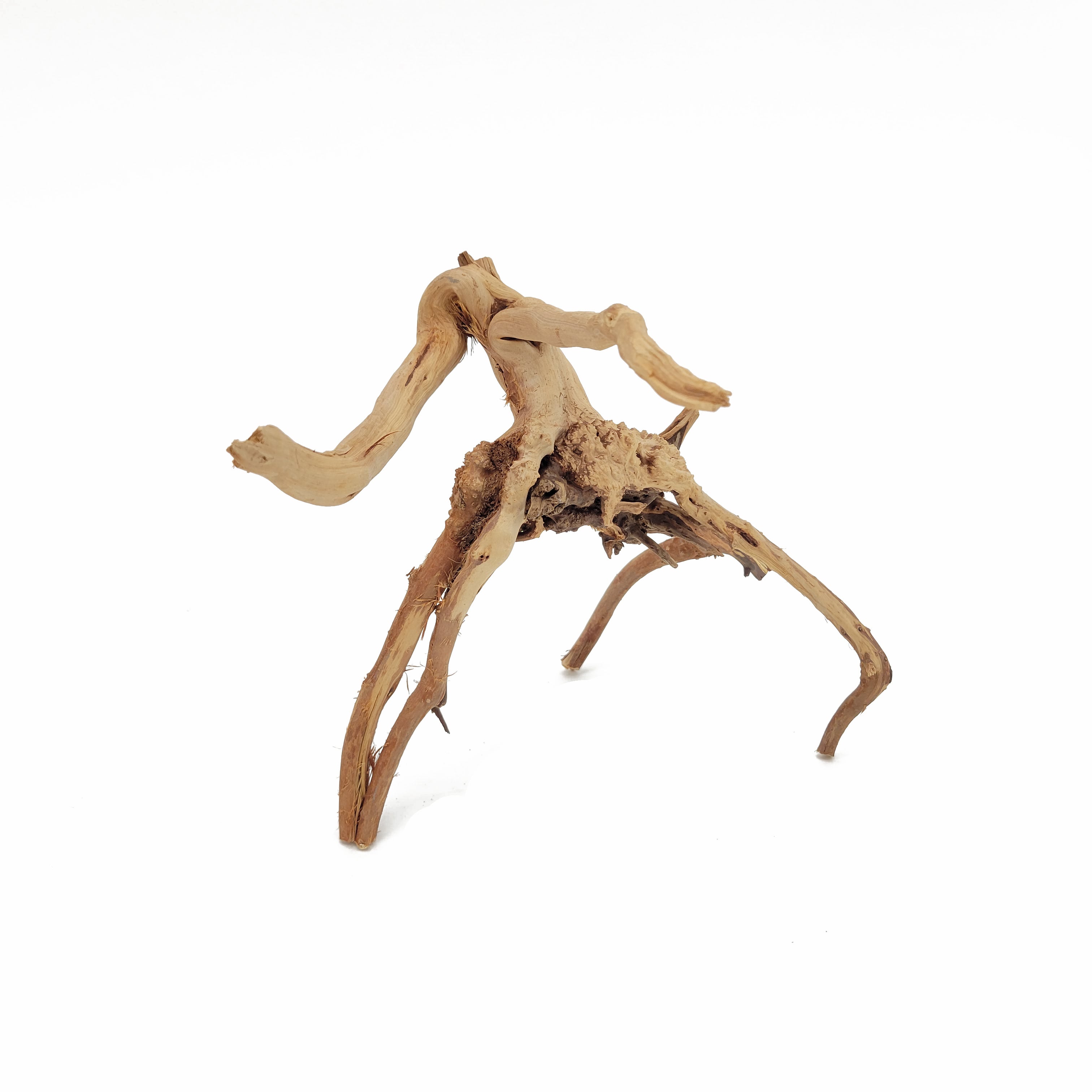 Spider Wood for Aquarium Approximate Size 6"-12" by Lifegard Aquatics top view