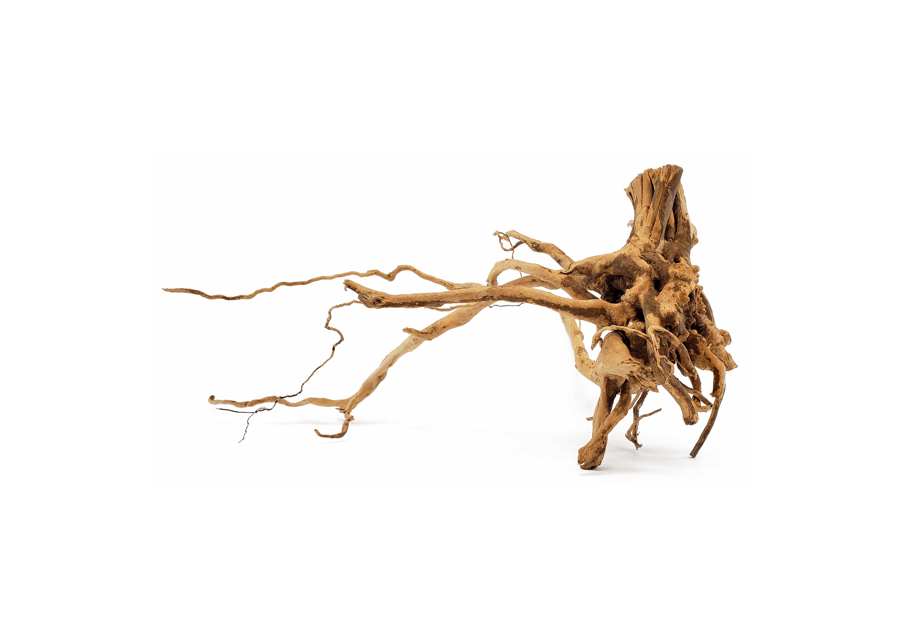 Spider Wood for Aquarium Approximate Size 6"-12" by Lifegard Aquatics spiderwood side angle
