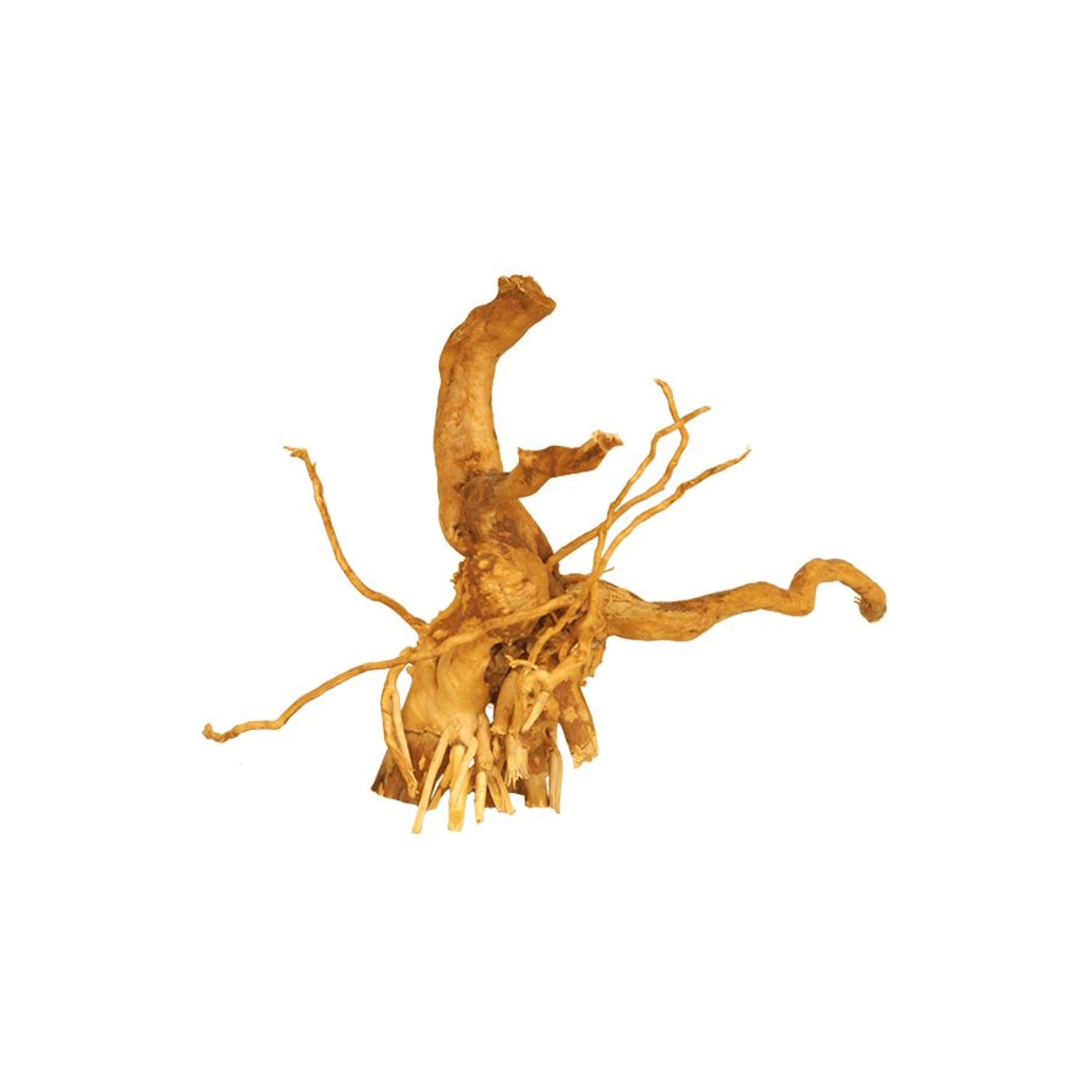 Spider Wood for Aquarium Approximate Size 6"-12" by Lifegard Aquatics front view small