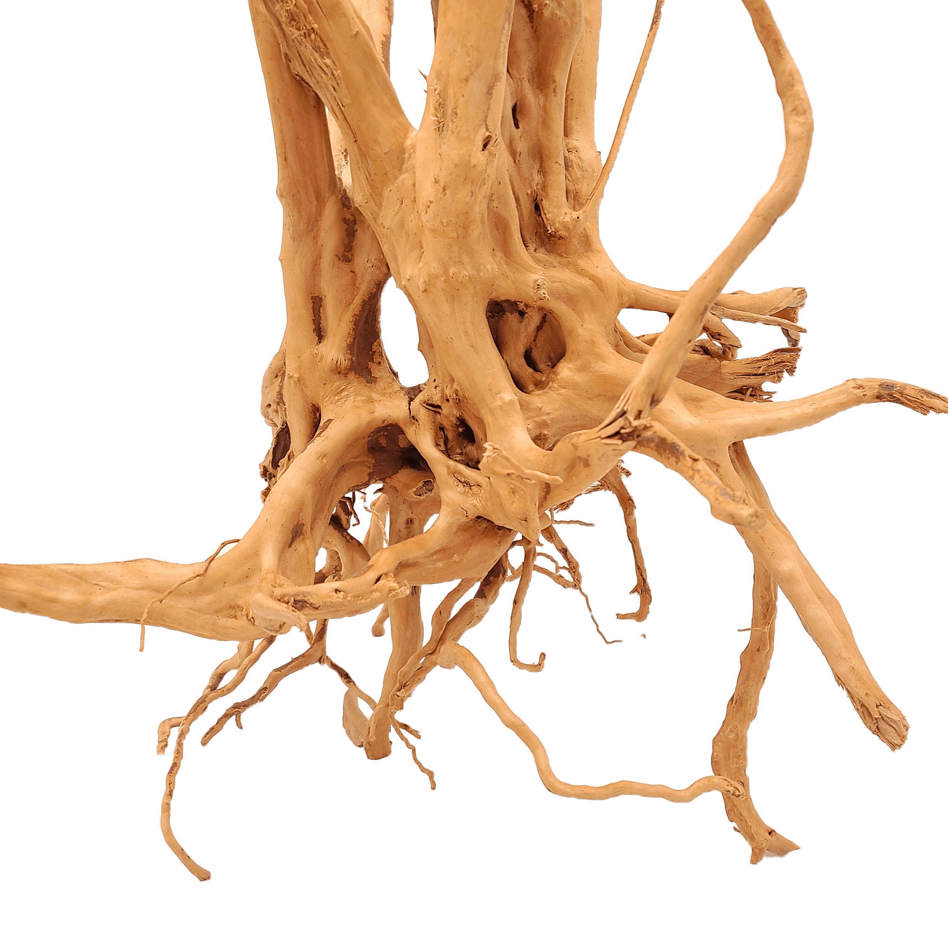 Spiderwood Tree Stump for Aquarium by Lifegard Aquatics big