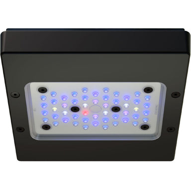 Radion G6 XR15 Blue LED Light bottom view